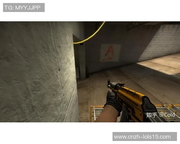 CSGO战术解析：深入探讨WE战队的防守策略与执行技巧