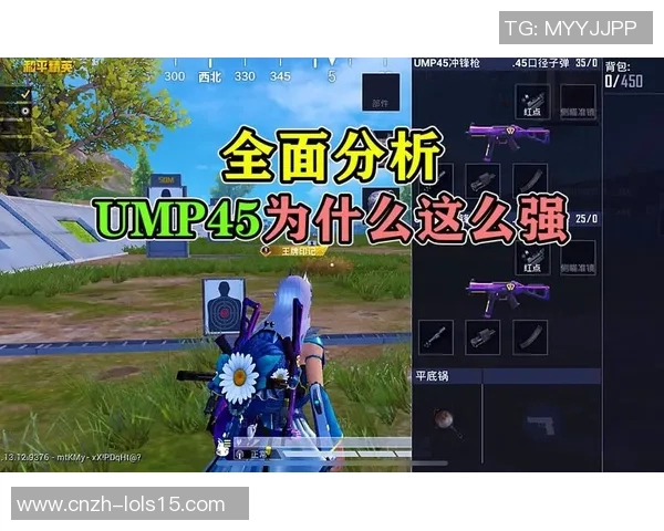 和平精英V5版本深度解析与当前游戏状态全面分析